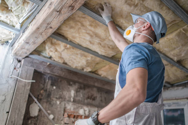 Best Eco-Friendly Insulation in Osborne, KS